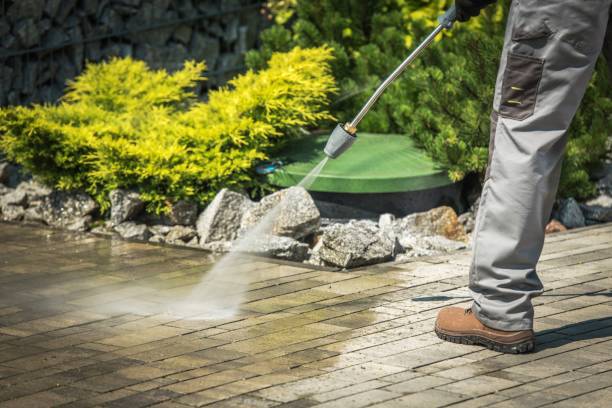 Best Solar Panel Cleaning  in Fuller Heights, FL